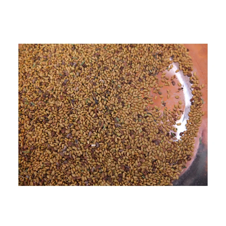 Органические семена травы Альфальфа высокой степени очистки для посадки оптом оптимального качества