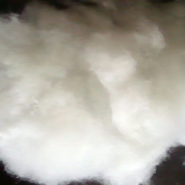 Polyester Staple Fiber Professional Manufacturer Supply Polyester Fibre Filling Staple Fiber