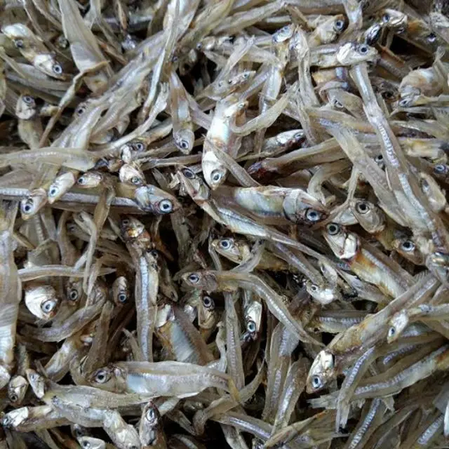 Сушеный СПАТ/сушеный на солнце рыба Анчоуса из Вьетнама по хорошей цене // Sven + 84 966722357