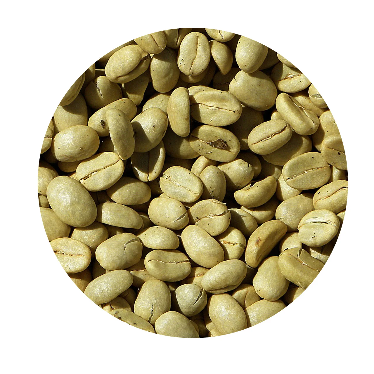 Wholesaler Roasted Organic Made in Vietnam Organic Products Green Roasted Ground Coffee Beans Arabica