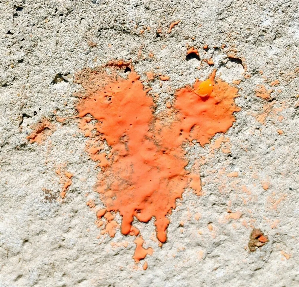 
Orange Shell/ Orange Fill Shop4Paintball - .68 Caliber Scenario/General Play Paintballs - Orange Crush 2000 Rounds 