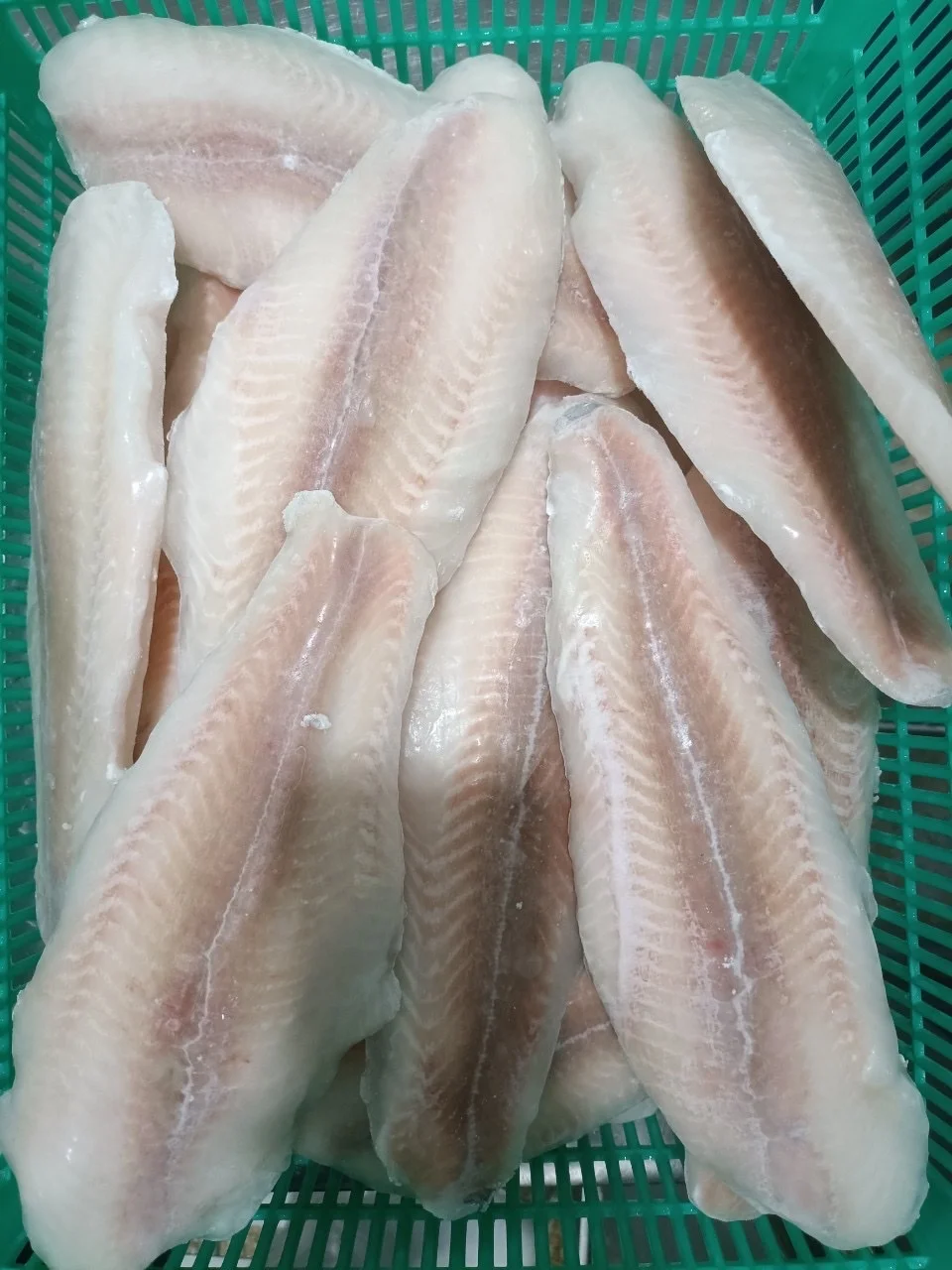 High quality Frozen Pangasius/ Basa Fillet
