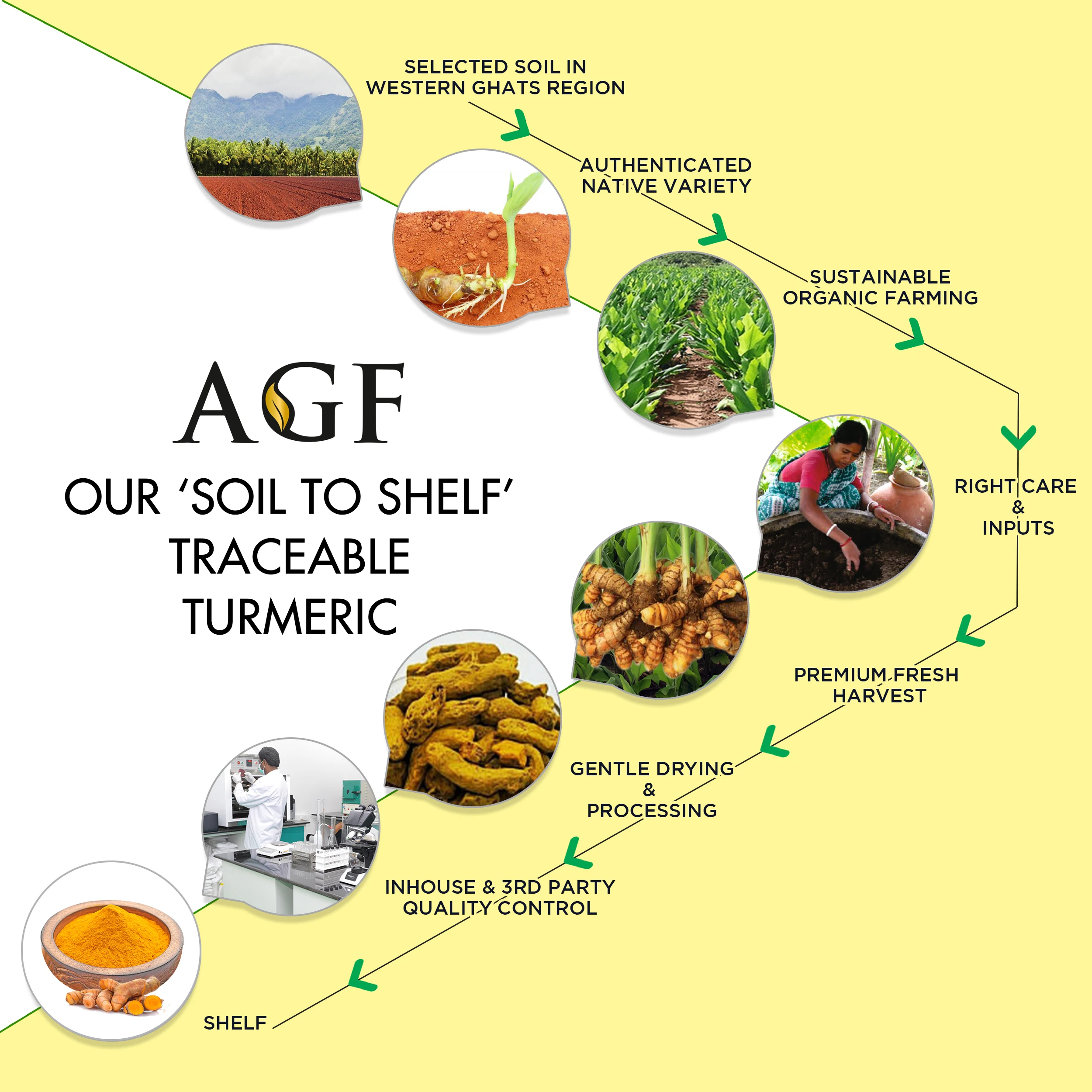 Hot selling turmeric root extract powder / Turmeric Curcumin manufacturers India / Turmeric root powder wholesale