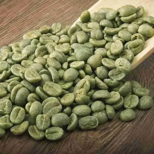 100% Natural Robusta Coffee good price by Vietnam Agri brand