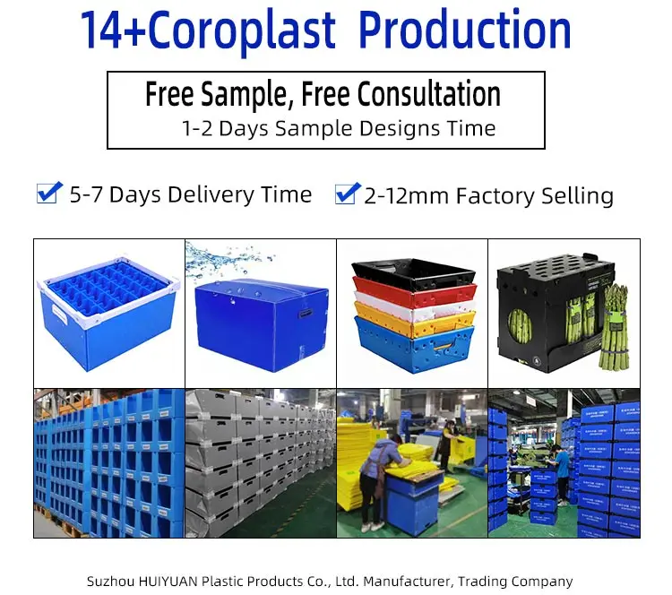 correx-boxes.jpg