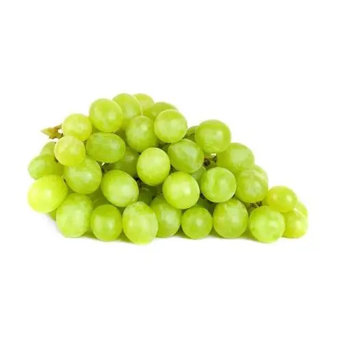 
Fresh Harvested Grapes CHEAP PRICE 