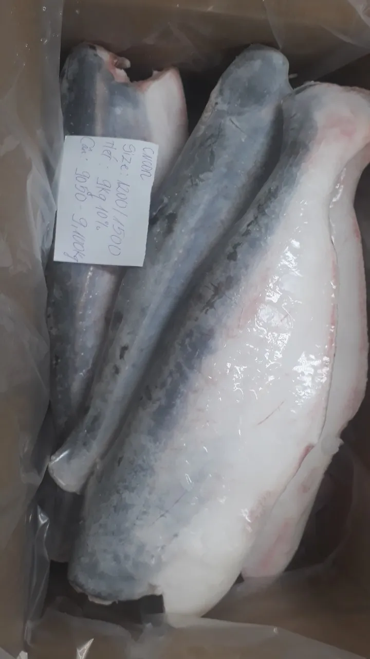 Frozen Pangasius HGT/Basa/Pangasius Hypophthalmus Origin VietNam