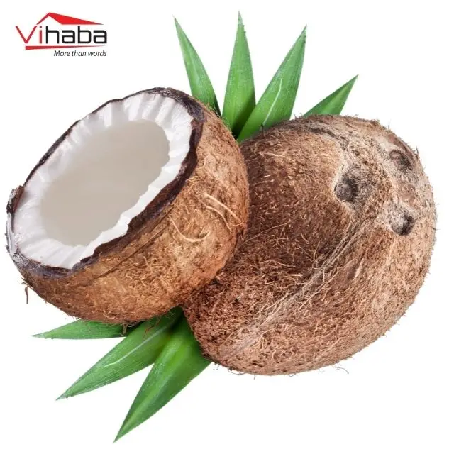 Export desicated coconut organic coconut snacks food mature coconut