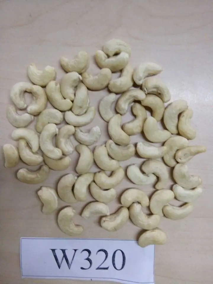 CASHEW KERNEL WW320 - SONG HY GIA LAI