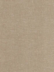 End on end soft Neo Semi-Solid 195g  rayon linen fabric natural