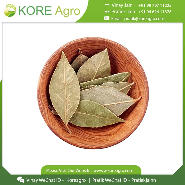 Most Selling Bay Leaf 100% Natural Dried Food Flavoring Spice And Cooking Herb & Mix Masala Supplier From India