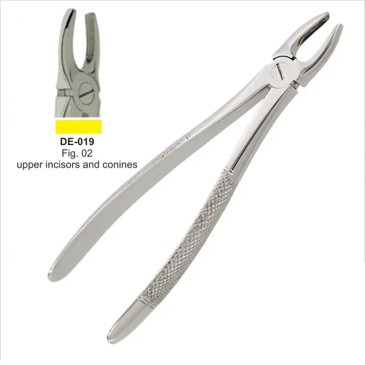 
Best Quality Tooth Extracting Forceps Pointed Tips For Syndesmotome Upper Model 