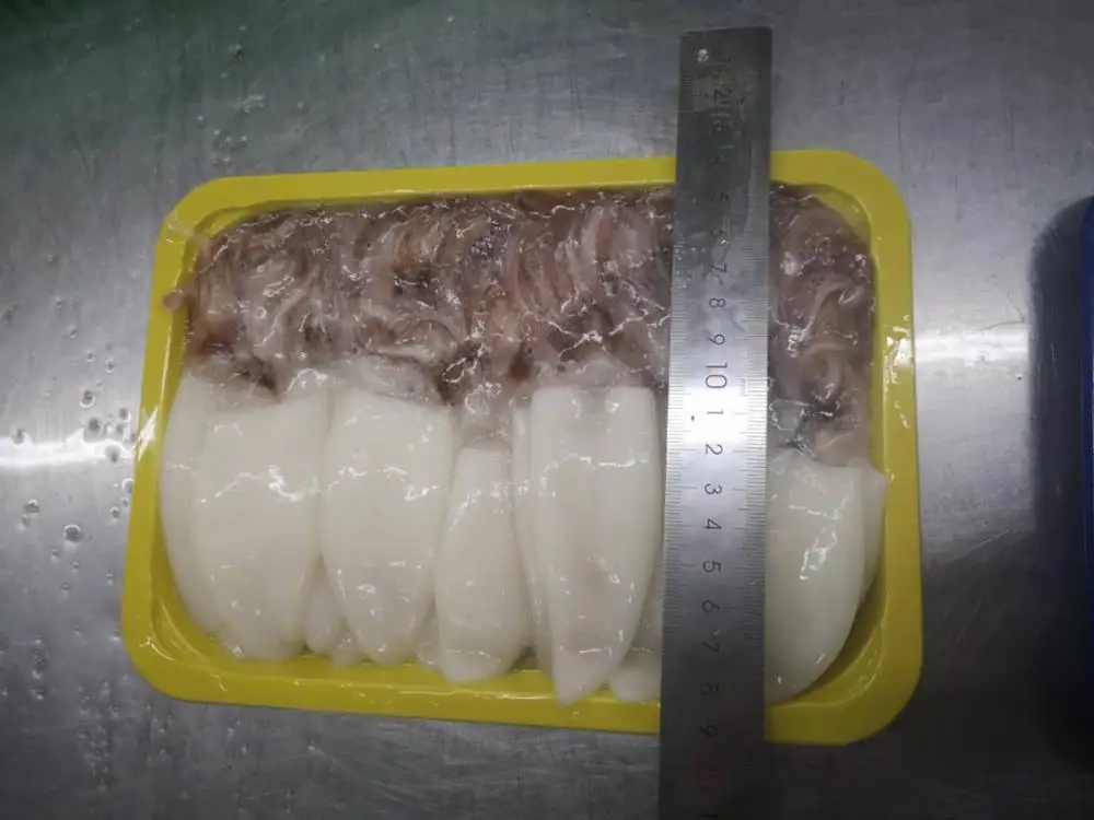 
Loligo Duvauceli (Whole round) 