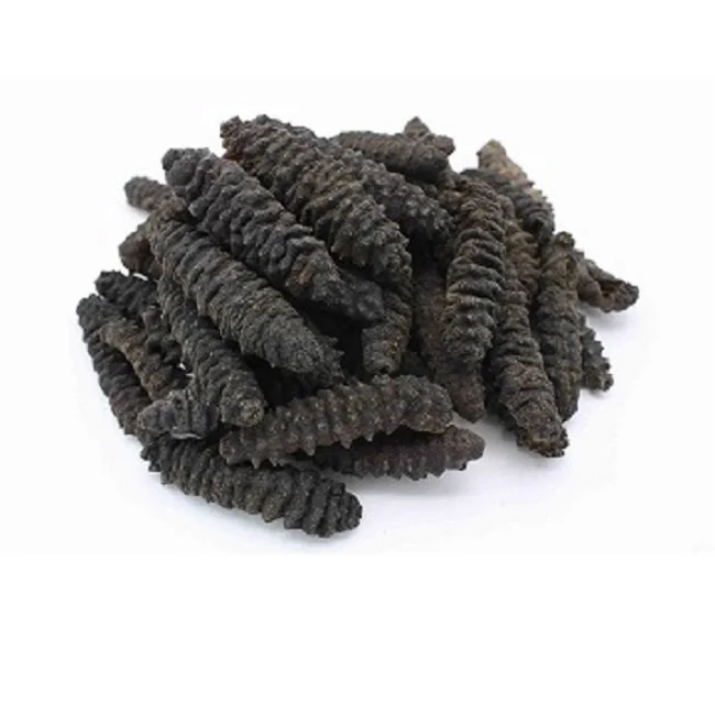 Wholesale Price Dried Sea Cucumber from China...