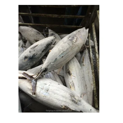 FROZEN EMPEROR FISH Max Custom Sea KOSHER Scaled Removed Emperor Whole Gutted Scale Off Frozen Fish Wholesale From Singapore