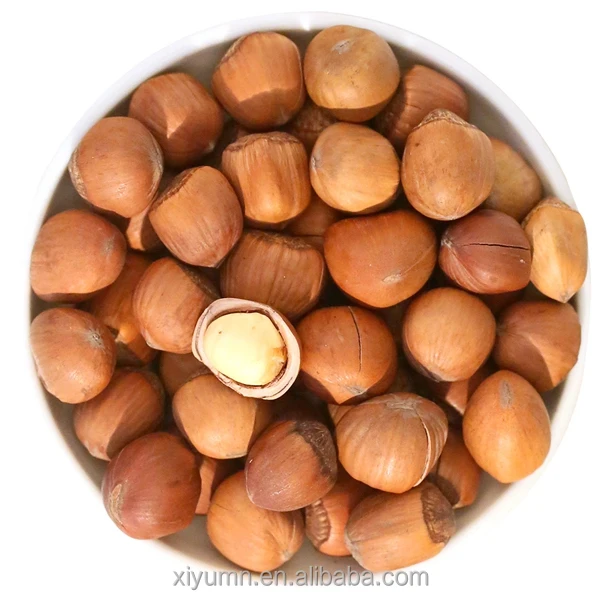 Cheap price Hazelnuts suppliers Hazelnut kernels for sale