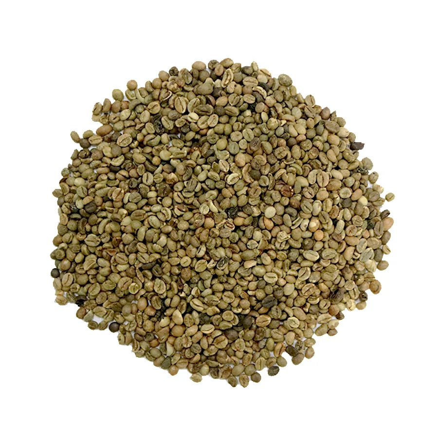 Robusta Raw Coffee Beans Grade 2 Screen 13 Cheapest Price Green Beans Hot Sale Coffee Beans From Vietnam