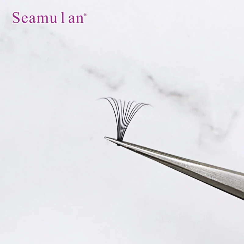 0.07 C  3Lines  Premade Volume Fans Short Stem  Available now  Fan Eyelashes Korean Black White Box Style  Package Feature Hand