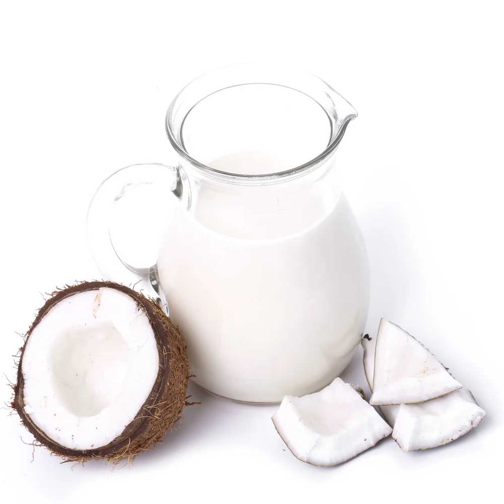 Hot Sale Wholesale Price Organic Gluten Free High Quality 2 Years Shelf Life Premium Coconut Milk 17% Fat Origin From Sri Lanka