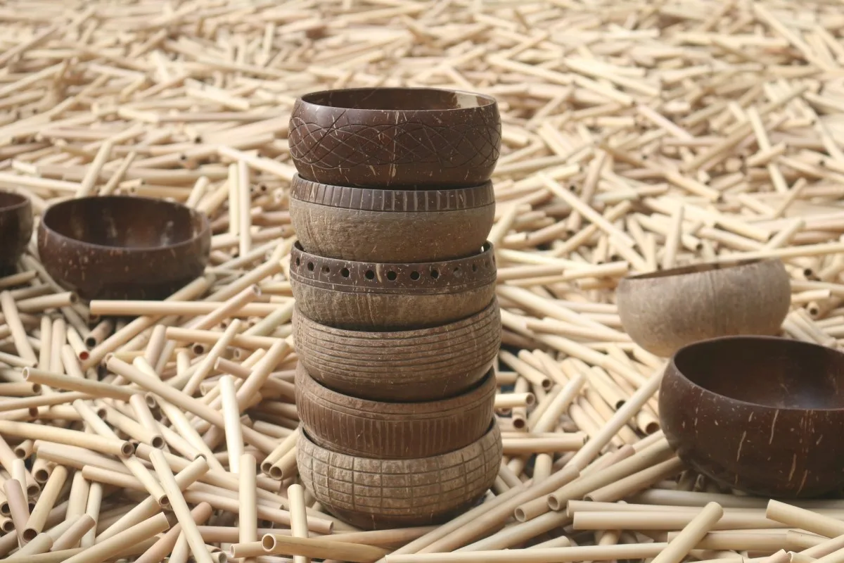 20cm bamboo straws biobased edible straws 100% natural bamboo drinking straws