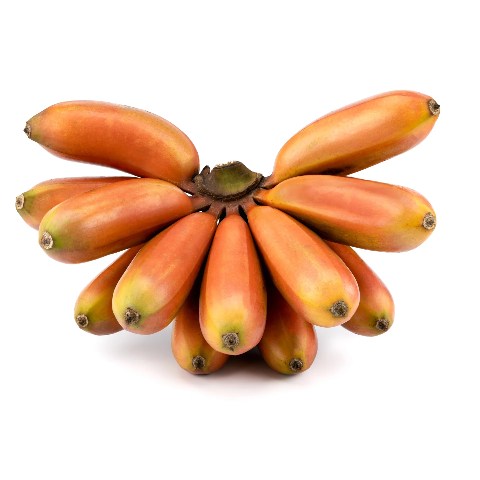 Красный банан-высокое качество