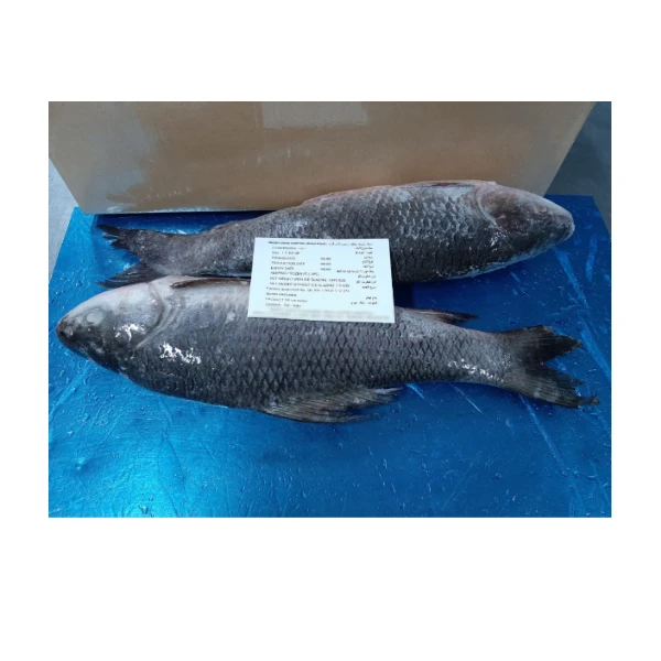 Wholesale Whole Frozen Rohu Fish Price for Sale