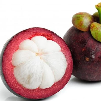 Mangosteen Fresh Fruit Best Seller From VIETNAM Mangosteen juice/ MS KATHY +84 896650714