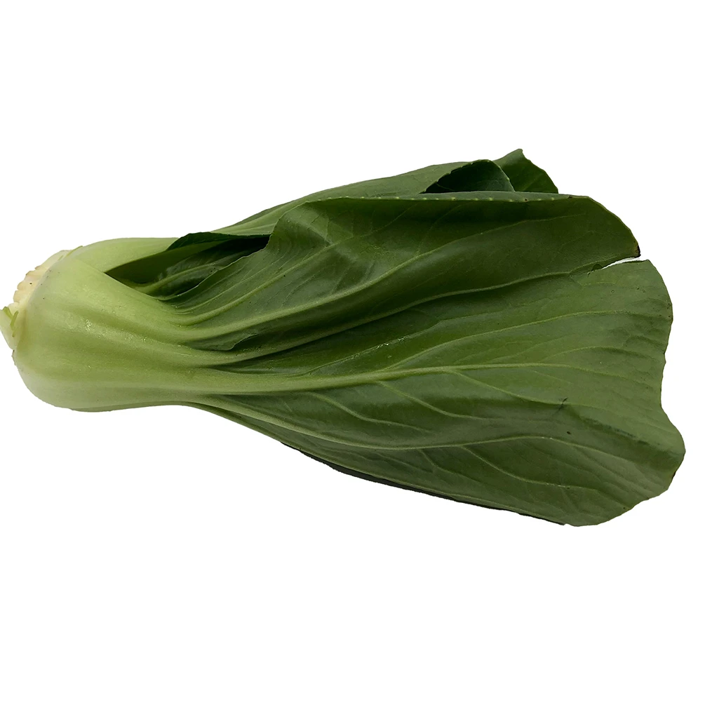 Imported Quality Super Fresh 80 percent maturity Pak Choi Other Fresh Vegetables Price Box Packing Top Grade Selecting