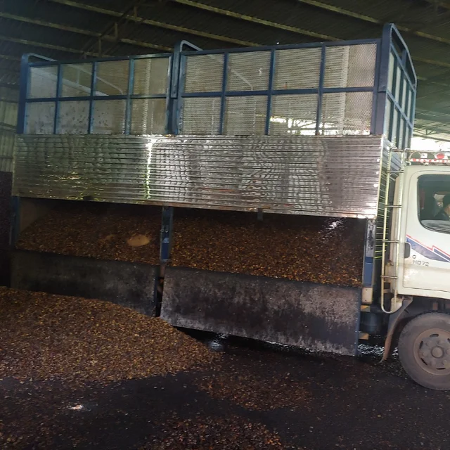 High Quality Cashew Husk For Good Price Cashew Nut Shell Extraction CNSE