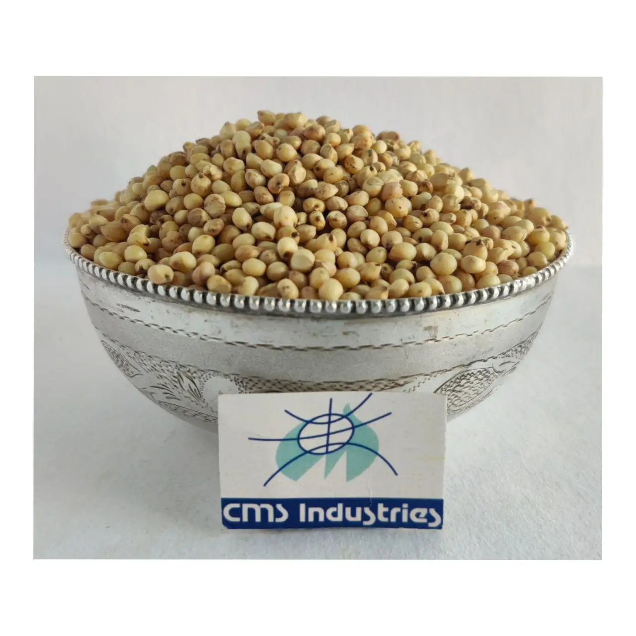 Undamaged Creamy White Sorghum for Feeding Bird