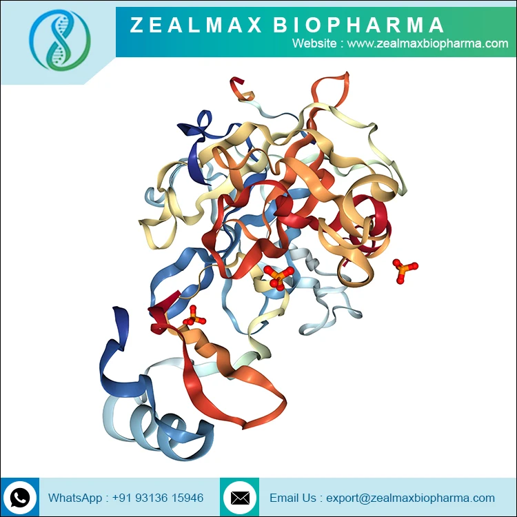 Оптовая цена Заводская поставка химотрипсин ферменты по оптовой цене-Zealmax Biopharma