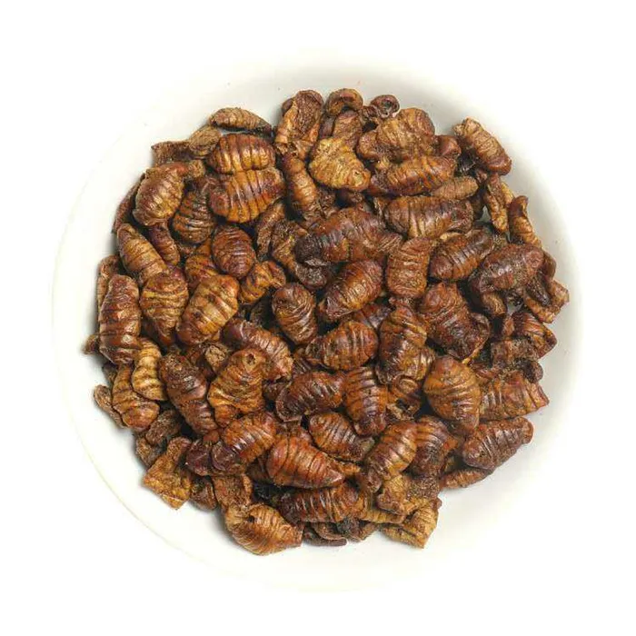 
High Protein wholesale feed grade silkworms for pets 