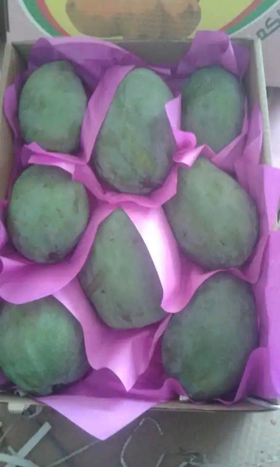 100% чистый сладкий манго-лучшее качество