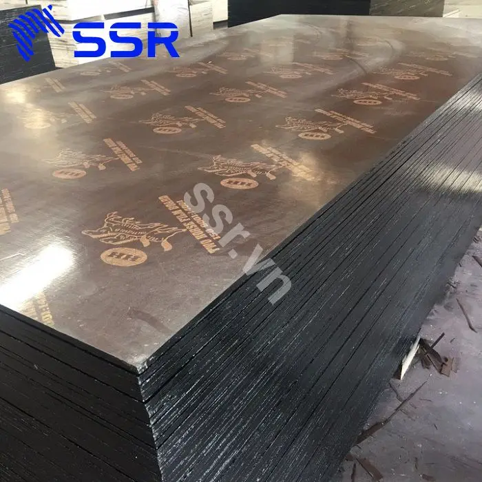 Birch/ Poplar/ film faced plywood and plywood sheets for furniture/ construction/ packing