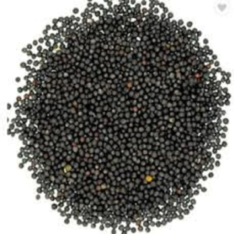 
Black Rape Seeds Organic Type and Yes Natural Canola Seeds 
