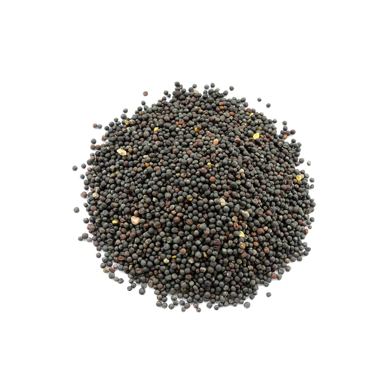 
Rape seeds, from the manufacturer 5000 kg 