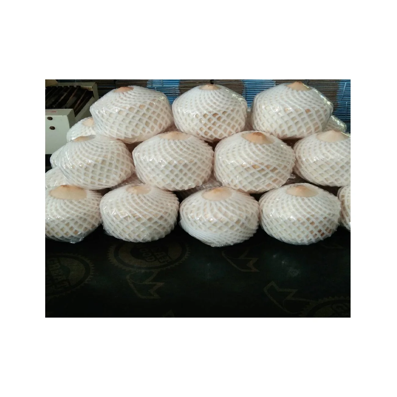 
High Quality Phyto Certification Semi-Husked Type coconut fresh coconut young coconut- cocobe export from Thailand 