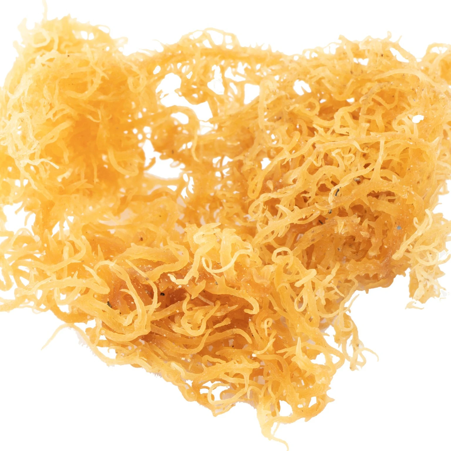 Best Selling Vietnamese New Crop Dried Vegetable Flakes Seamoss Wholesale Dried Seamoss/Katty