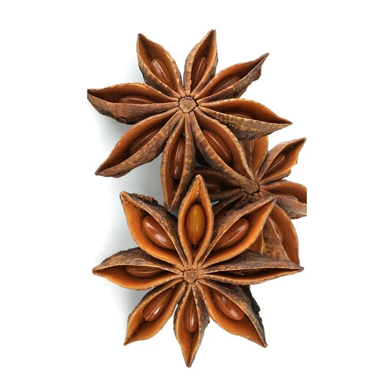 Bulk Selling Natural Brown Dried Style Raw Processing Whole Star Anise Collected for Craft Highest Quality
