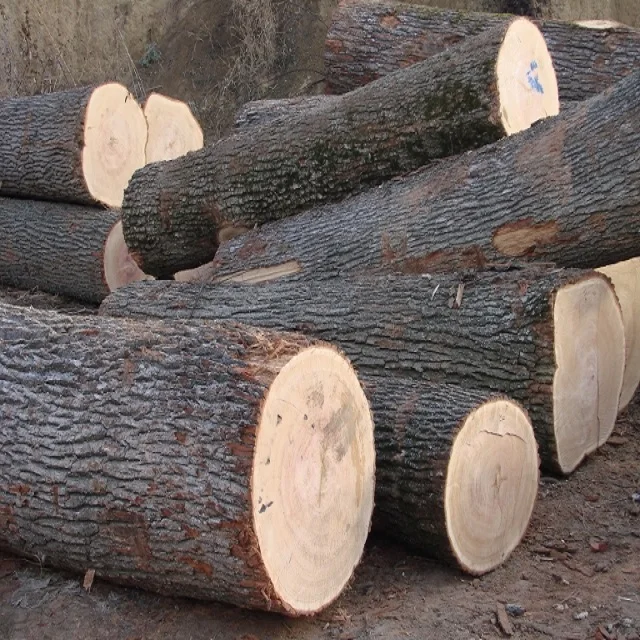 Europe White Oak Bilinga Wood Round Logs For Sale