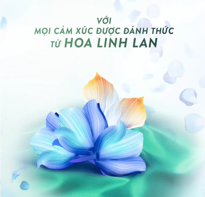 Best price Re - joice Shampoo perfume fresh 632ml x 6 Bottles From Viet Nam