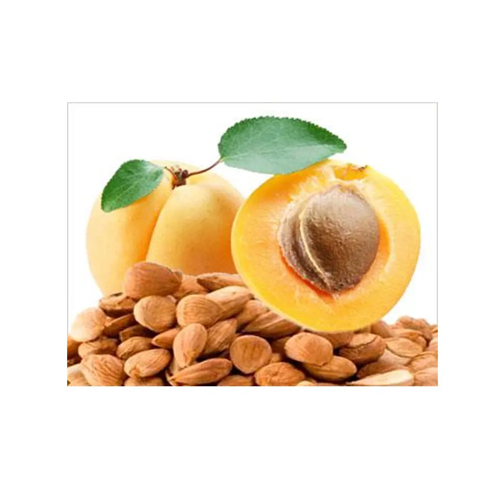 Good quality Apricot Kernels