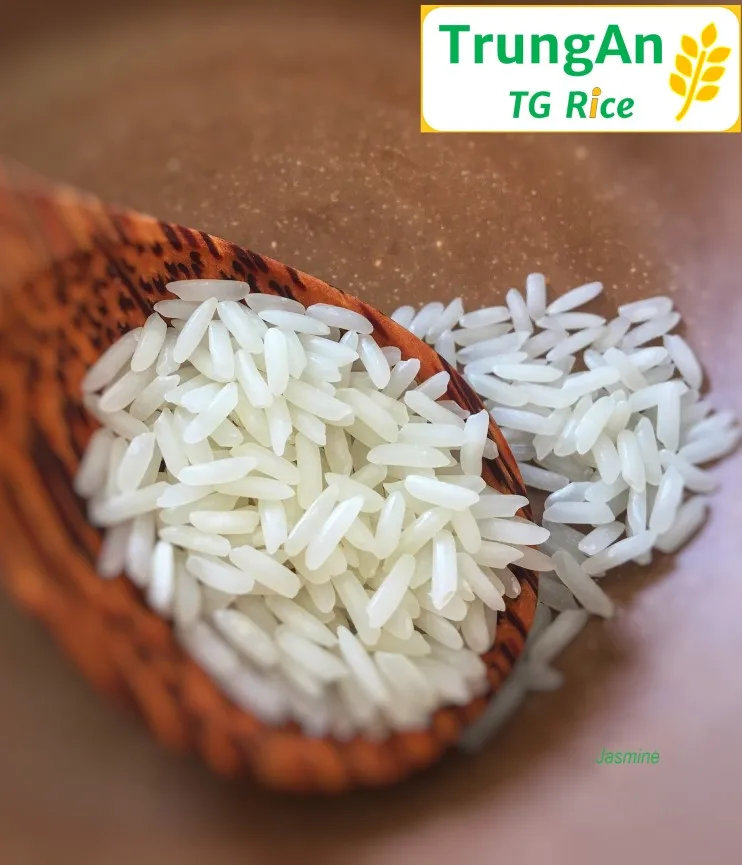
Jasmine Rice 5% Broken Top Export Products New Harvest Vietnam Long Grain White Rice 