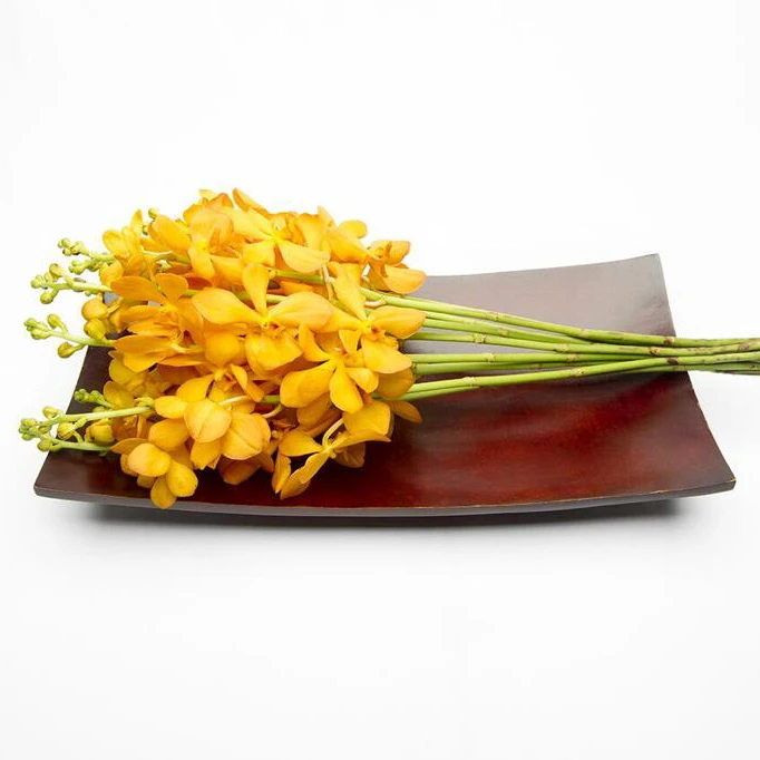 Mokera Flower from TH;16 0.3 USD 0.45