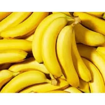 Top Grade Fresh Bananas For Competitive Sale Price