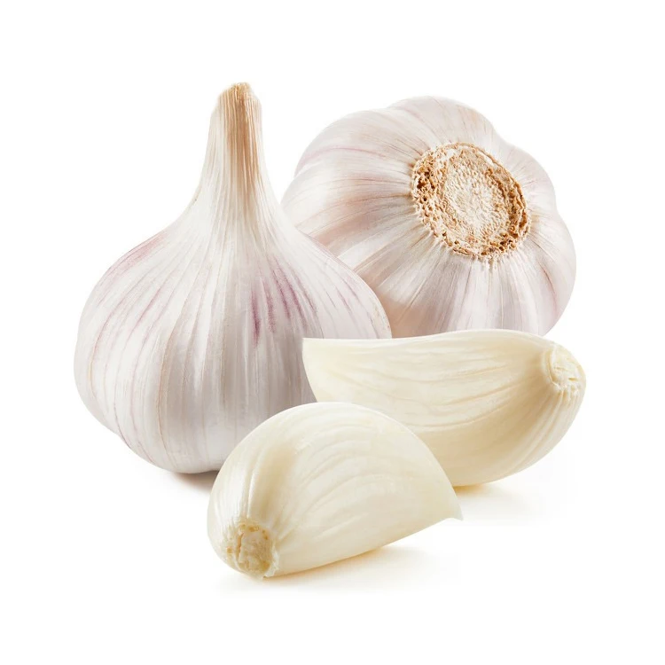 
Fresh White Normal White Garlic in 20KG Mesh Bags For Sale 