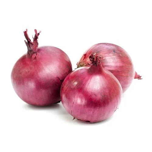 Wholesale High Quality Fresh Fresh Red Onion for Wholesale from India