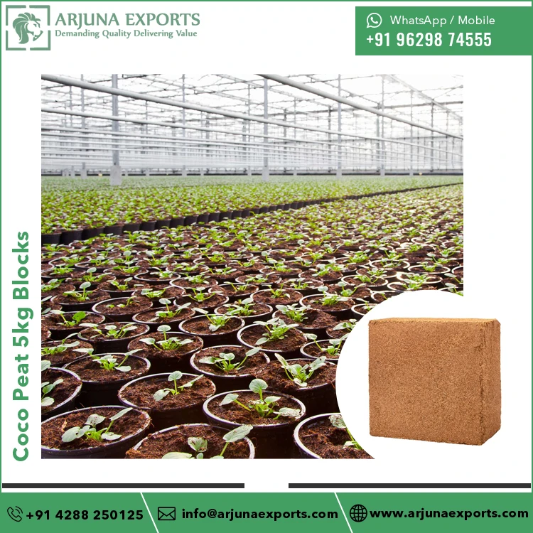 Wholesale Supplier of High Quality 100% Natural Coconut Coir Peat Coco Pith 5kg Blocks at Reliable Market Price