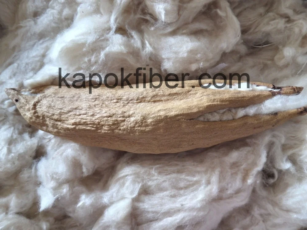 
Wholesale Raw Material Household Baby Pillow Filling Raw Cotton Kapok Fibers 