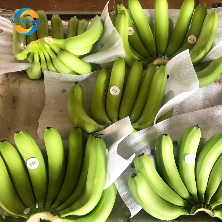 Top Selling Wholesale Manganese In Bananas Is Good For Your Skin Cavendish Bananas Price Fresh